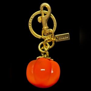 Letter "C" Persimmon Keychain | Keyfob | Bag Charm